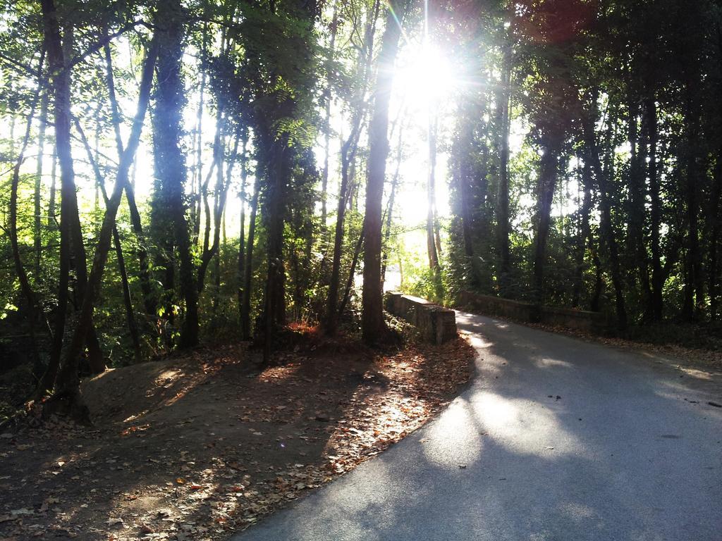 Casa Rural Can Miquel - En Pleno Bosque Y Cerca De La Playa - Increibles Rutas Btt ซานตาโกโลมา เด ฟาร์แนร์ส ภายนอก รูปภาพ