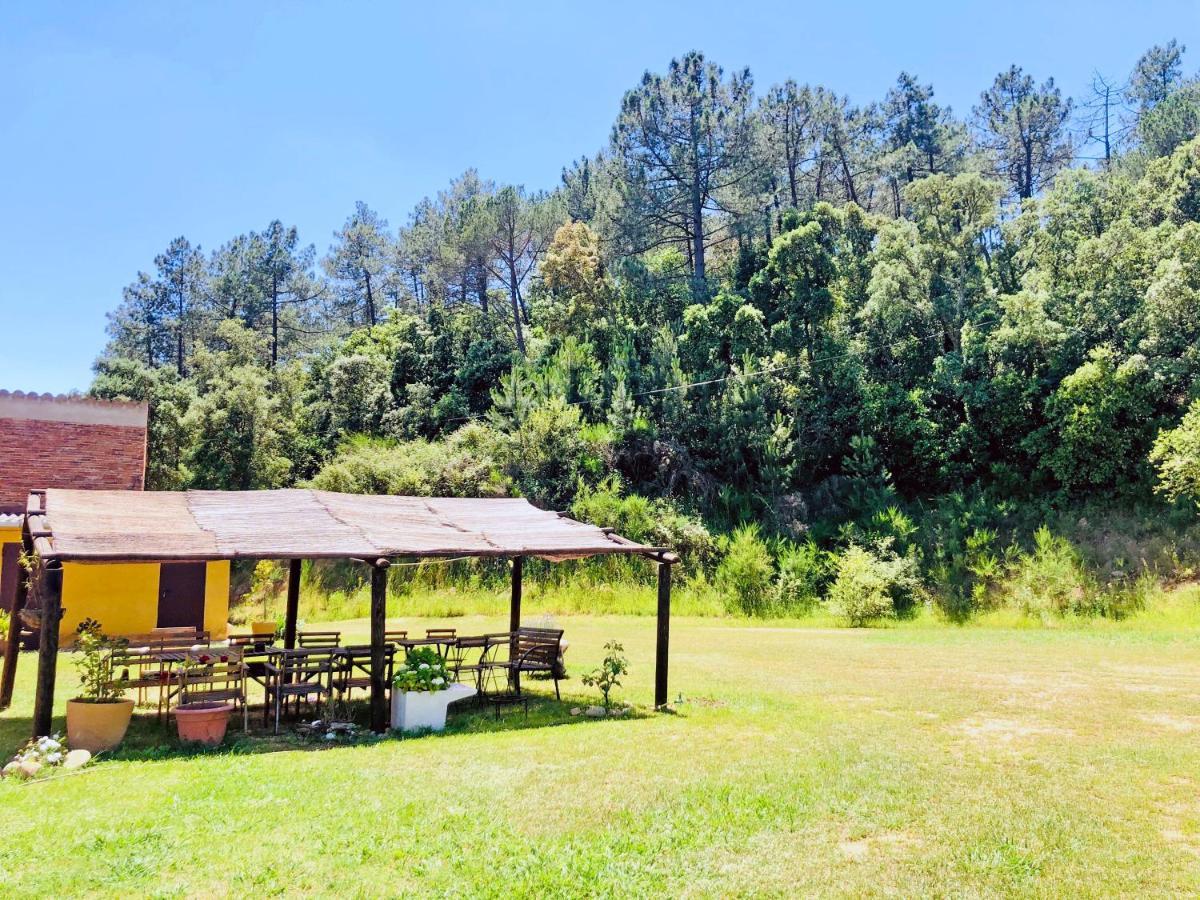 Casa Rural Can Miquel - En Pleno Bosque Y Cerca De La Playa - Increibles Rutas Btt ซานตาโกโลมา เด ฟาร์แนร์ส ภายนอก รูปภาพ
