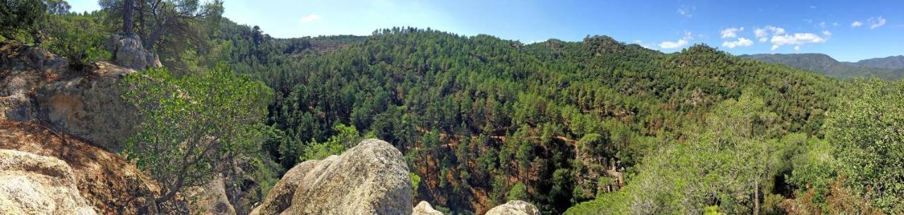 Casa Rural Can Miquel - En Pleno Bosque Y Cerca De La Playa - Increibles Rutas Btt ซานตาโกโลมา เด ฟาร์แนร์ส ภายนอก รูปภาพ