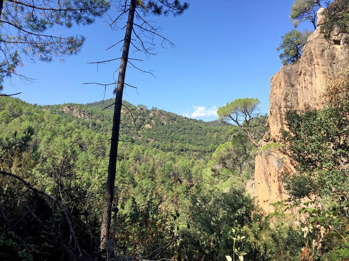 Casa Rural Can Miquel - En Pleno Bosque Y Cerca De La Playa - Increibles Rutas Btt ซานตาโกโลมา เด ฟาร์แนร์ส ภายนอก รูปภาพ