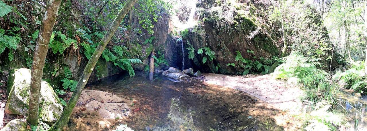 Casa Rural Can Miquel - En Pleno Bosque Y Cerca De La Playa - Increibles Rutas Btt ซานตาโกโลมา เด ฟาร์แนร์ส ภายนอก รูปภาพ