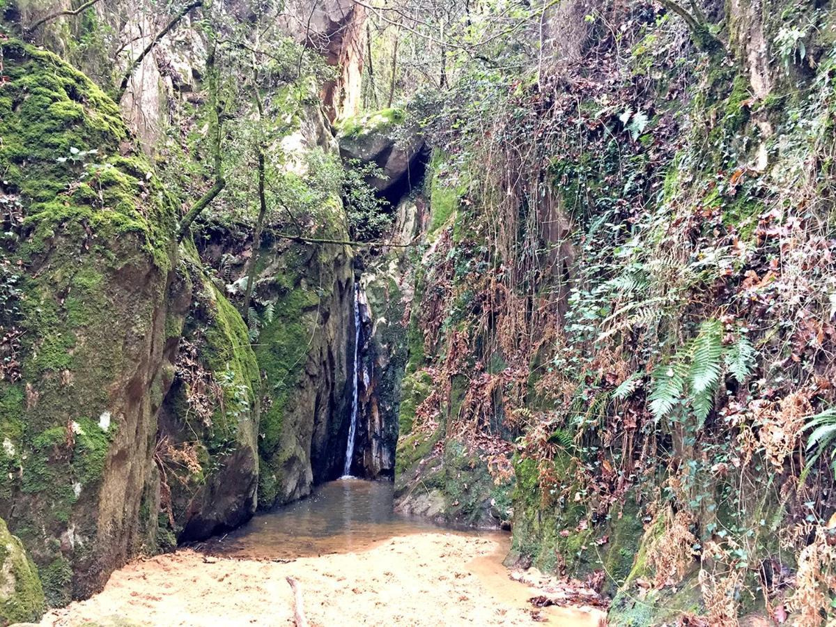 Casa Rural Can Miquel - En Pleno Bosque Y Cerca De La Playa - Increibles Rutas Btt ซานตาโกโลมา เด ฟาร์แนร์ส ภายนอก รูปภาพ